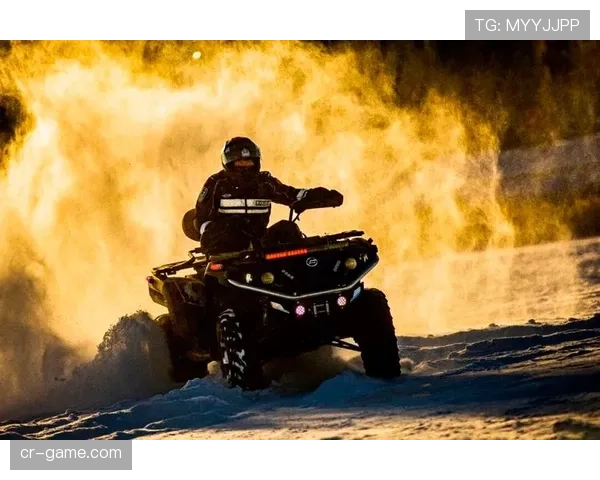 芬兰雪地训练：冬季运动员极寒中锤炼意志，展现卓越竞技风采